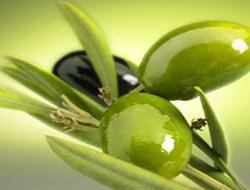 zeytin